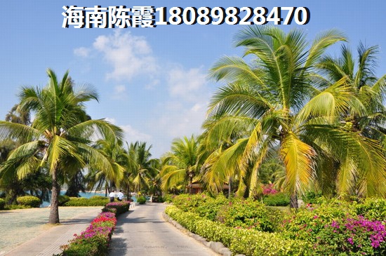 蓝光天娇城